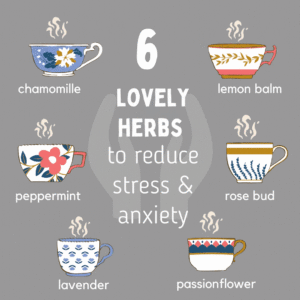 best-6-herbs-to-reduce-stress-anxiety-1